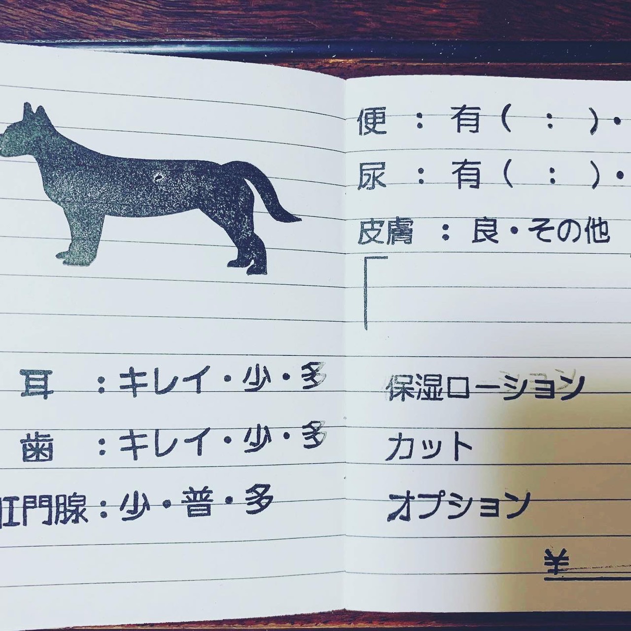 飼い主さまと一緒に