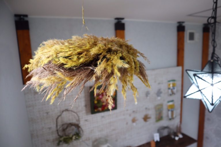 トリミングの時間