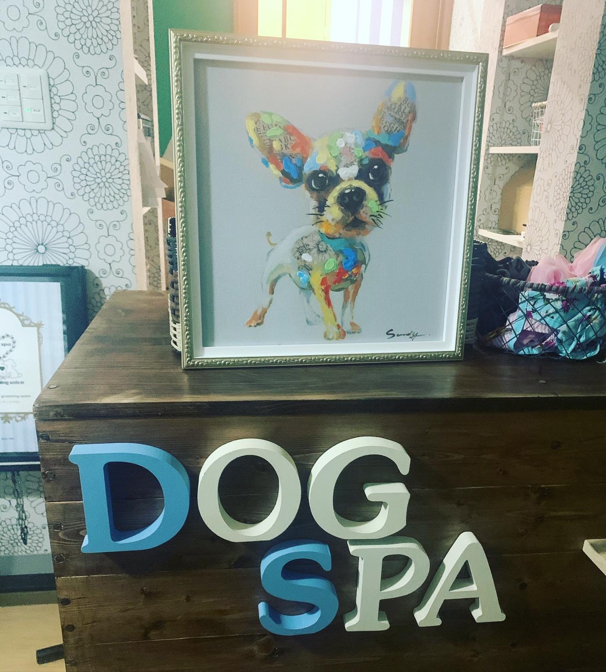 ドッグスパのケア